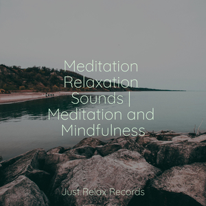 Lost in the Hazy Harmony