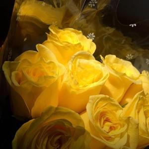 清醒时候说爱我