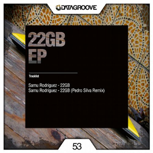 22Gb (Pedro Silva Remix)