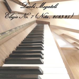 Elegie No. 7 (Nita, 2023-25) (Concert Grand Piano D 2 Version)