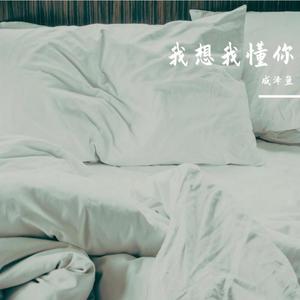 我想我懂你