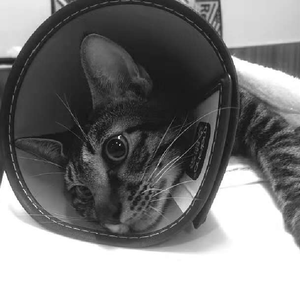 ᴵ ᴰᴼᴺ'ᵀ ᴸᴼᵛᴱ ᵞᴼᵁ ᴬᴺᵞᴹᴼᴿᴱ.