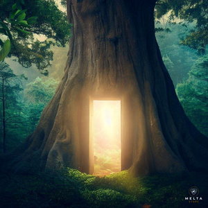 세상의 중심에서