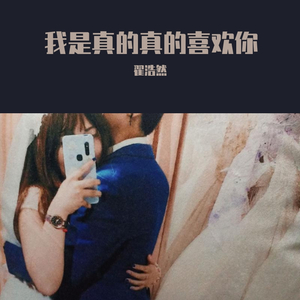 我是真的真的喜欢你