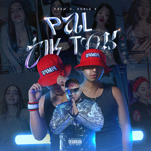 Pal Tik Tok