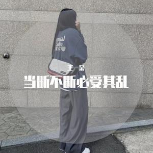 当断不断必受其乱 (DJ版)