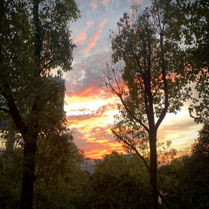 第三人称（Cover.葱香科学家）