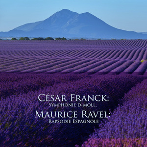 Symphony in D Minor, FWV 48:I. Lento - Allegro non troppo