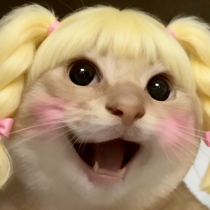 哈基米FM：宿命的小曲