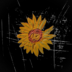 Жовті Квіти