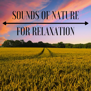 Ambient Music Therapy