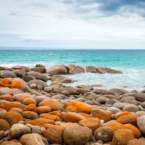 曲径花香（美容院音乐古筝曲）