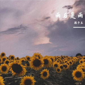 雨后是雨