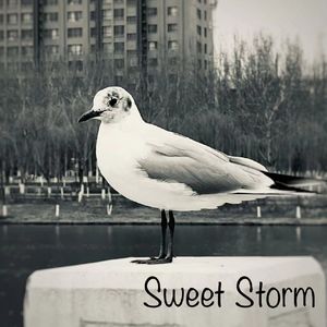Sweet Storm