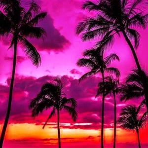 [Free]"海边落言"