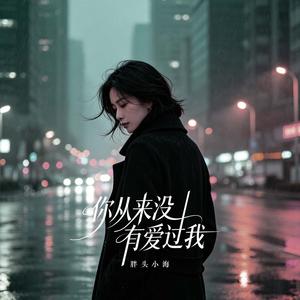 你从来没有爱过我