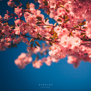 봄비 내리는 밤