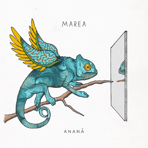 Marea