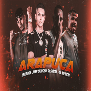 Arapuca