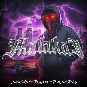 SOUNDTRACK TO A STANG