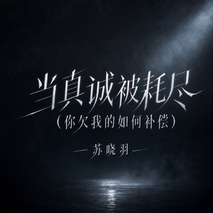 当真诚被耗尽(你欠我的如何补偿)
