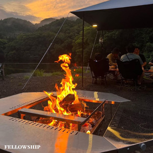 FELLOWSHIP