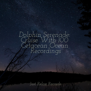 Velvet Symphony of Grace