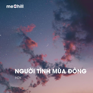 Người Tình Mùa Đông (Lofi)