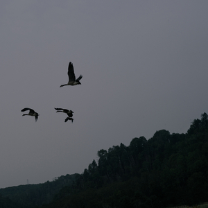 PICTURE (v.f.) [feat. Marie-Mai]