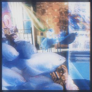 我们在十平米的空间交换同一口烟