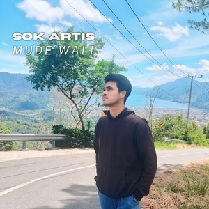 Sok Artis
