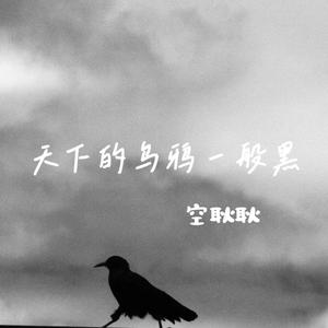 天下的乌鸦一般黑