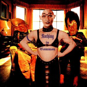 Out In The Light - Waco Brothers