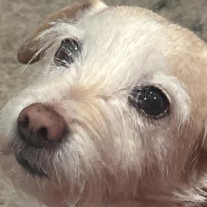 Throw in the towel boys