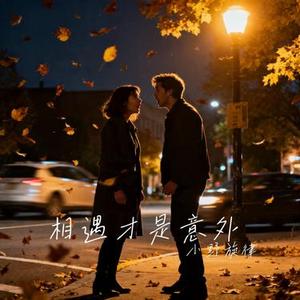 相遇才是意外 (Cover 挞挞 & YN R1)