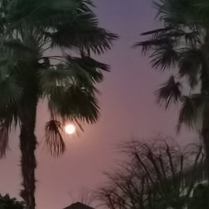 余晖（Prod.by CuD）