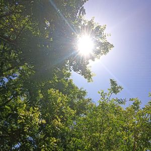 海上升明月（纯音乐）