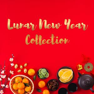 Happy Spring Festival