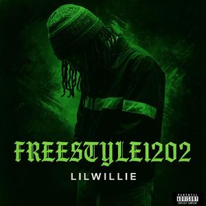 FreeStyle1202