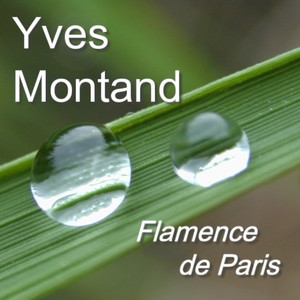 Actualités (Chanson, Frankreich, France, Schlager)