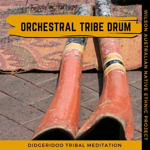 Festive Tribal Didgerdioo