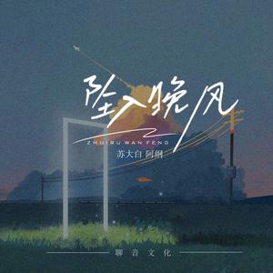 坠入晚风