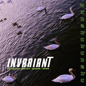 Invariant