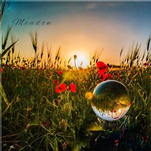 Meadow