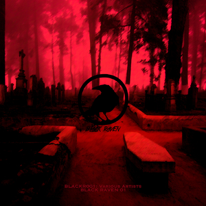 I Do Not Need Your Help (Original Mix)