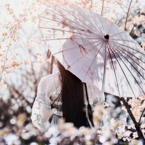 苏公堤（翻自 杨一歌）