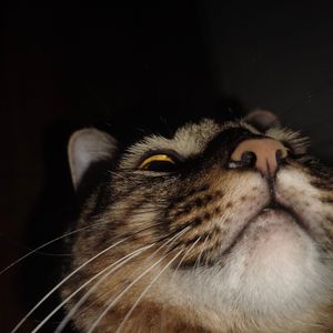 やっぱり雨は降るんだね(short ver.)