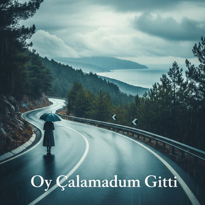 Oy Çalamadum Gitti