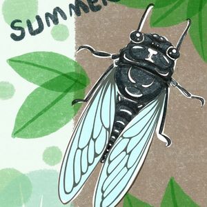 六月蝉鸣的夏夜