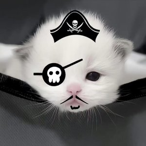 你的承诺像过期情书